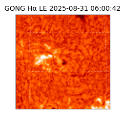 gong - 2025-08-31T06:00:42