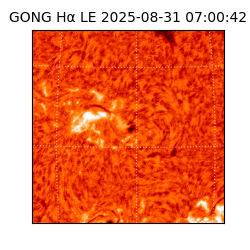 gong - 2025-08-31T07:00:42