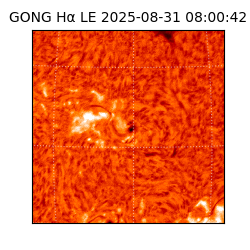 gong - 2025-08-31T08:00:42