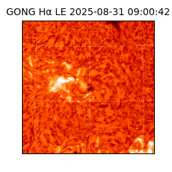 gong - 2025-08-31T09:00:42