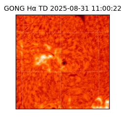 gong - 2025-08-31T11:00:22