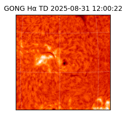 gong - 2025-08-31T12:00:22