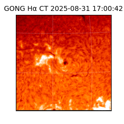 gong - 2025-08-31T17:00:42