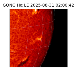 gong - 2025-08-31T02:00:42