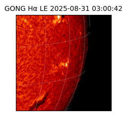 gong - 2025-08-31T03:00:42