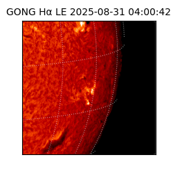 gong - 2025-08-31T04:00:42