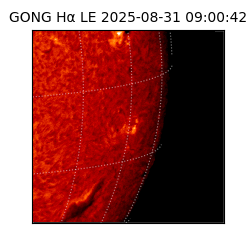 gong - 2025-08-31T09:00:42