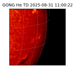 gong - 2025-08-31T11:00:22