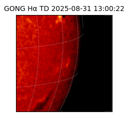 gong - 2025-08-31T13:00:22