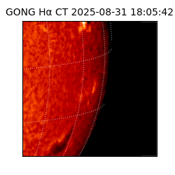 gong - 2025-08-31T18:05:42