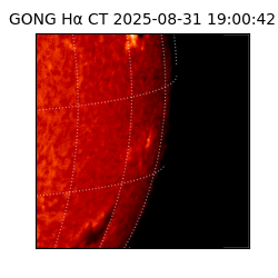 gong - 2025-08-31T19:00:42