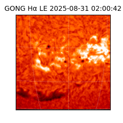 gong - 2025-08-31T02:00:42