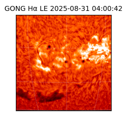 gong - 2025-08-31T04:00:42