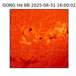 gong - 2025-08-31T16:00:02