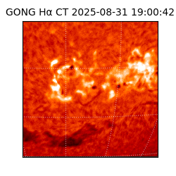 gong - 2025-08-31T19:00:42