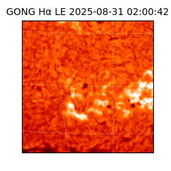 gong - 2025-08-31T02:00:42