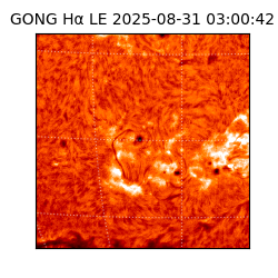 gong - 2025-08-31T03:00:42