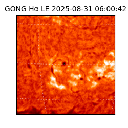 gong - 2025-08-31T06:00:42