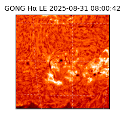 gong - 2025-08-31T08:00:42