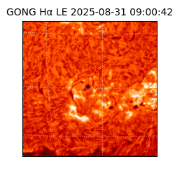 gong - 2025-08-31T09:00:42