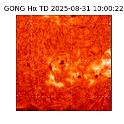 gong - 2025-08-31T10:00:22