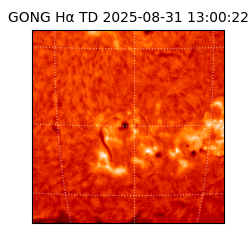 gong - 2025-08-31T13:00:22