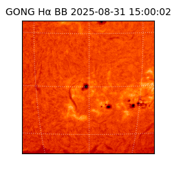 gong - 2025-08-31T15:00:02