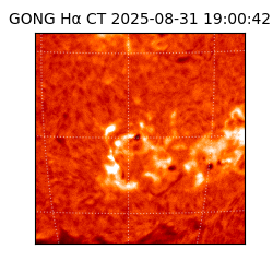 gong - 2025-08-31T19:00:42