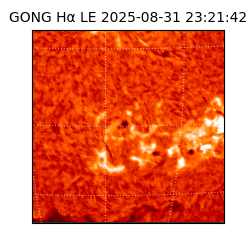 gong - 2025-08-31T23:21:42