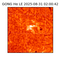 gong - 2025-08-31T02:00:42