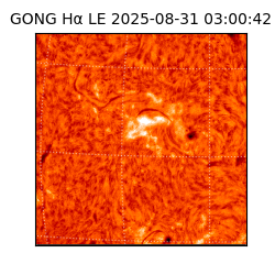 gong - 2025-08-31T03:00:42