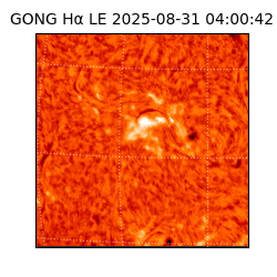 gong - 2025-08-31T04:00:42