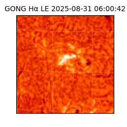 gong - 2025-08-31T06:00:42