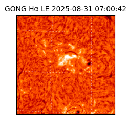 gong - 2025-08-31T07:00:42