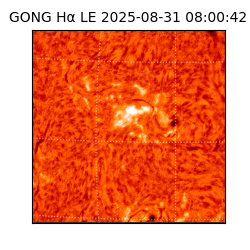 gong - 2025-08-31T08:00:42