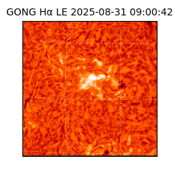 gong - 2025-08-31T09:00:42