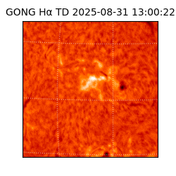 gong - 2025-08-31T13:00:22