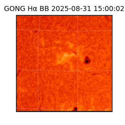 gong - 2025-08-31T15:00:02