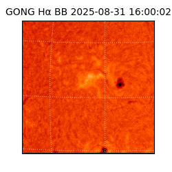 gong - 2025-08-31T16:00:02