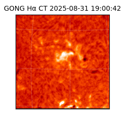 gong - 2025-08-31T19:00:42