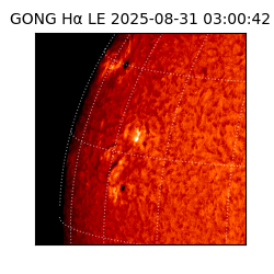 gong - 2025-08-31T03:00:42