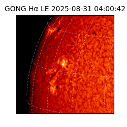 gong - 2025-08-31T04:00:42
