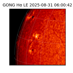 gong - 2025-08-31T06:00:42