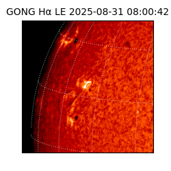 gong - 2025-08-31T08:00:42