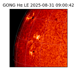 gong - 2025-08-31T09:00:42
