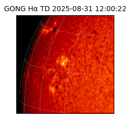 gong - 2025-08-31T12:00:22