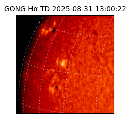 gong - 2025-08-31T13:00:22