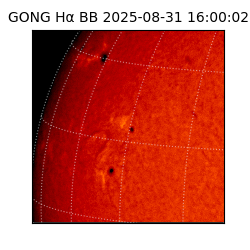 gong - 2025-08-31T16:00:02