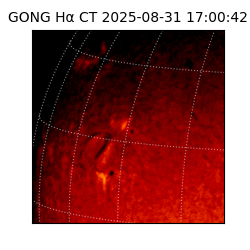 gong - 2025-08-31T17:00:42