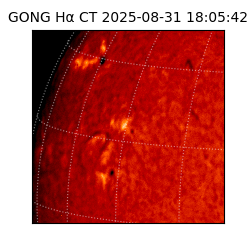 gong - 2025-08-31T18:05:42